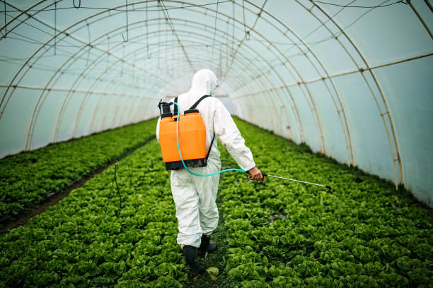 Best Affordable Pest Control Services  in Sault Ste Marie, MI