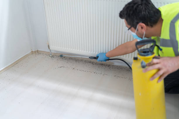 Best Termite Control Services  in Sault Ste Marie, MI
