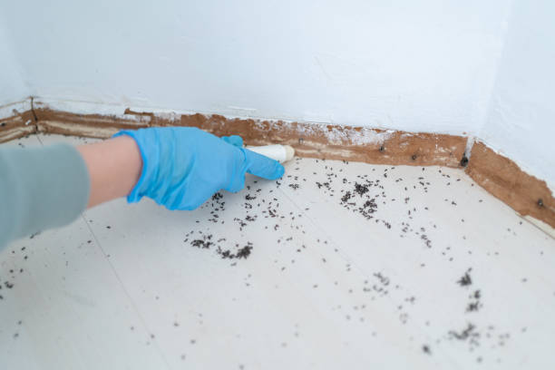 Best Pest Inspection Near Me  in Sault Ste Marie, MI